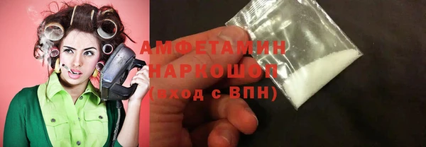 гашик Инта