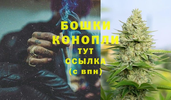 COCAINE Майский
