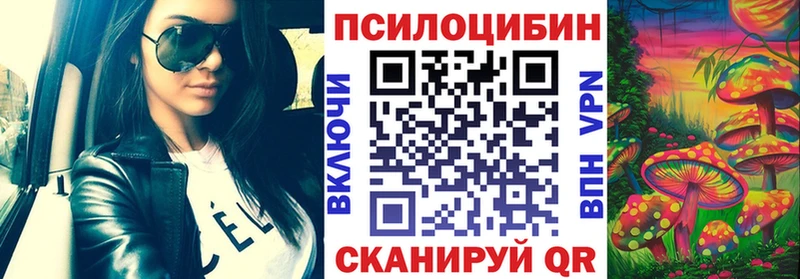 Псилоцибиновые грибы Cubensis блэк спрут как войти Моздок