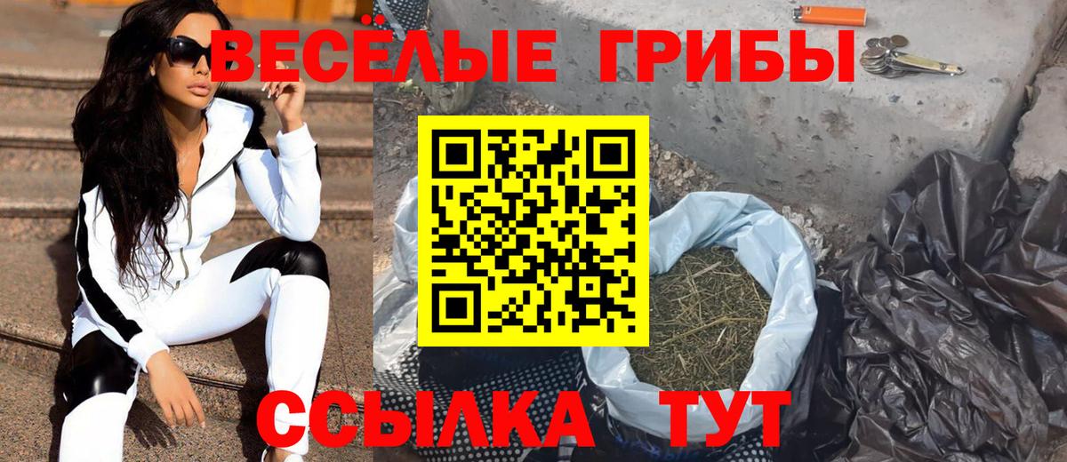 Галлюциногенные грибы прущие грибы Моздок