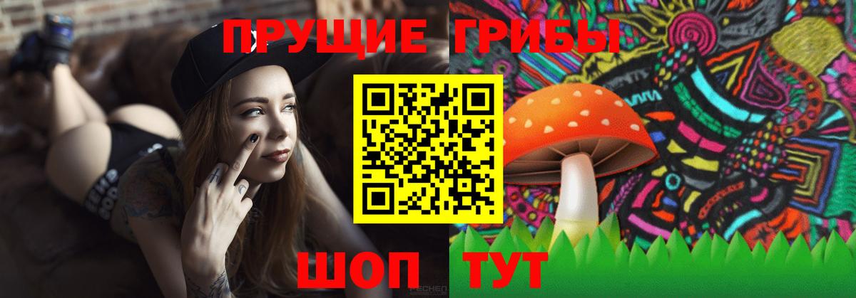 Галлюциногенные грибы MAGIC MUSHROOMS  Вход с VPN  Галлюциногенные грибы GOLDEN TEACHER  как найти наркотики  Моздок 